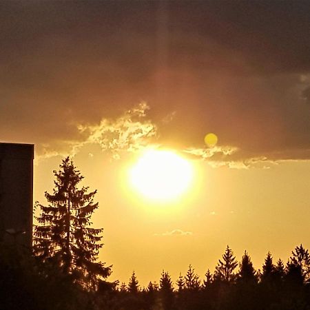 Grossdorf Appartement En Vogue Im Hahnenklee, Harz 戈斯拉尔 外观 照片