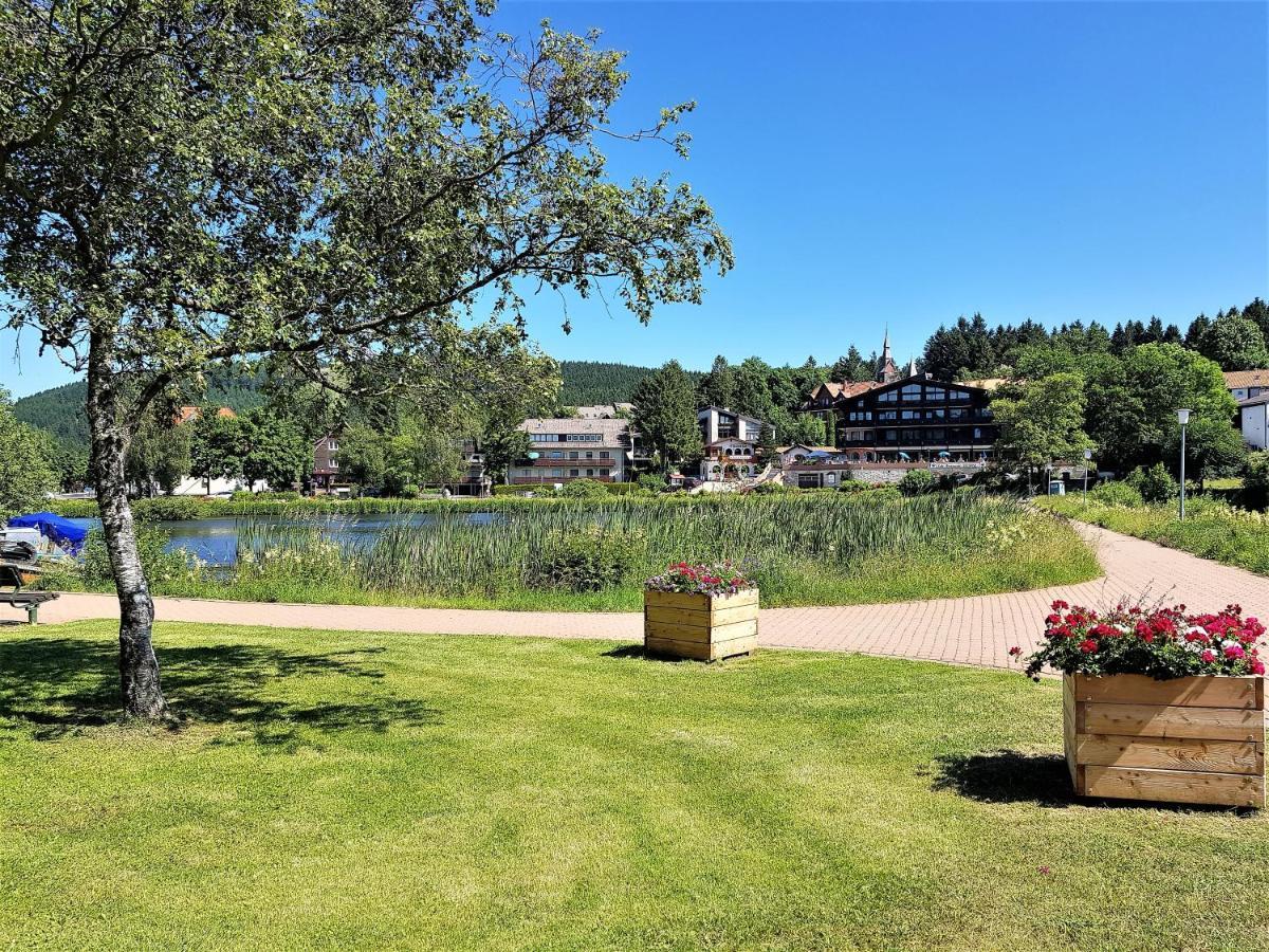 Grossdorf Appartement En Vogue Im Hahnenklee, Harz 戈斯拉尔 外观 照片