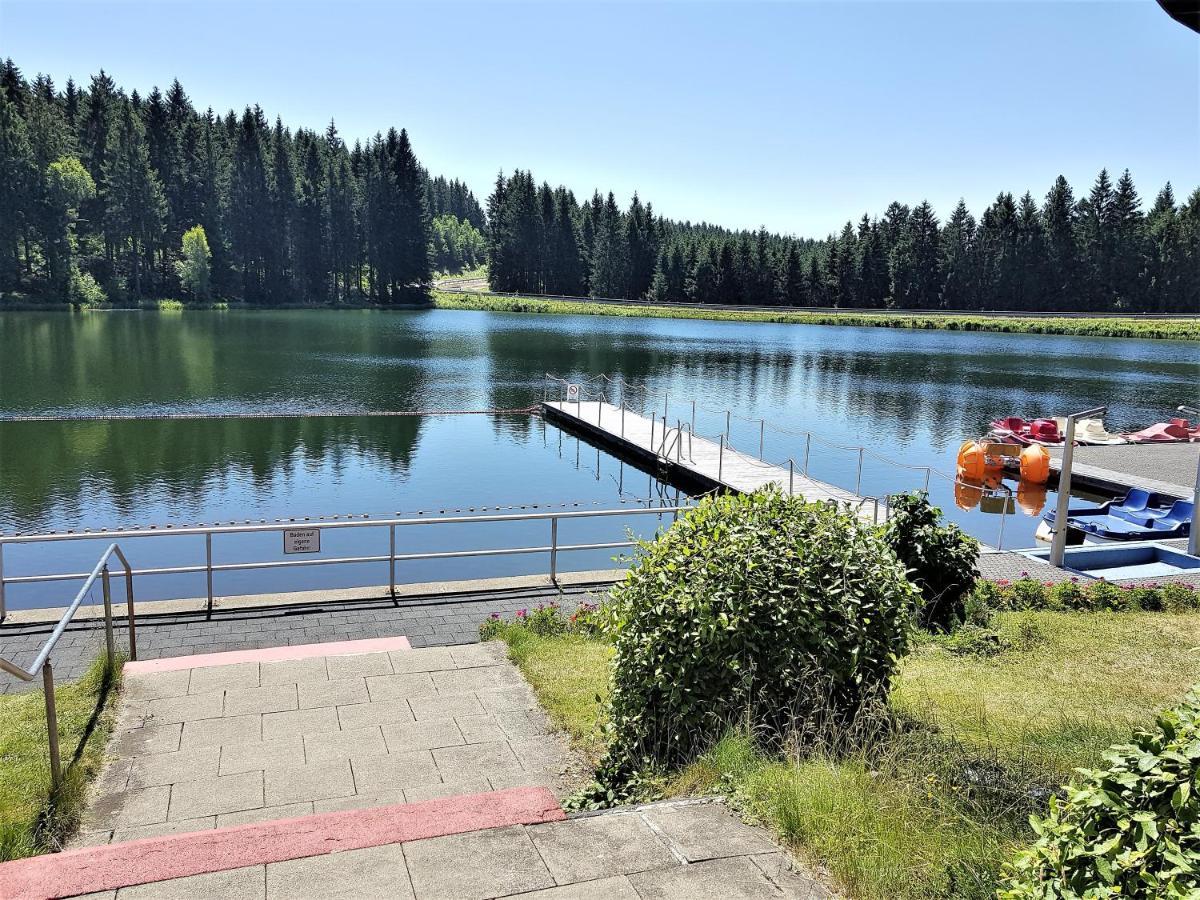 Grossdorf Appartement En Vogue Im Hahnenklee, Harz 戈斯拉尔 外观 照片