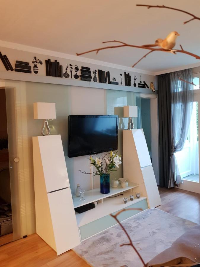 Grossdorf Appartement En Vogue Im Hahnenklee, Harz 戈斯拉尔 外观 照片