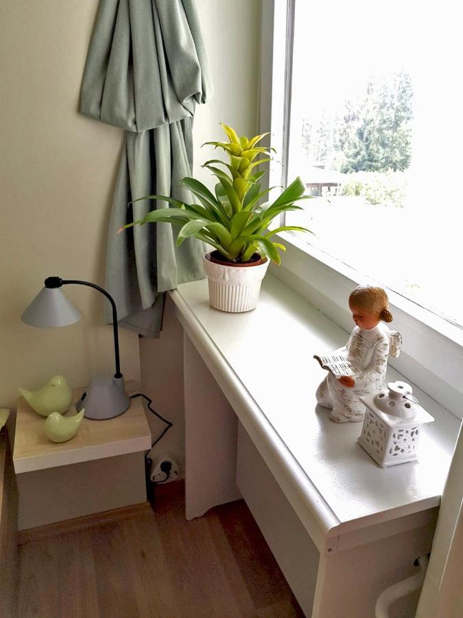 Grossdorf Appartement En Vogue Im Hahnenklee, Harz 戈斯拉尔 外观 照片