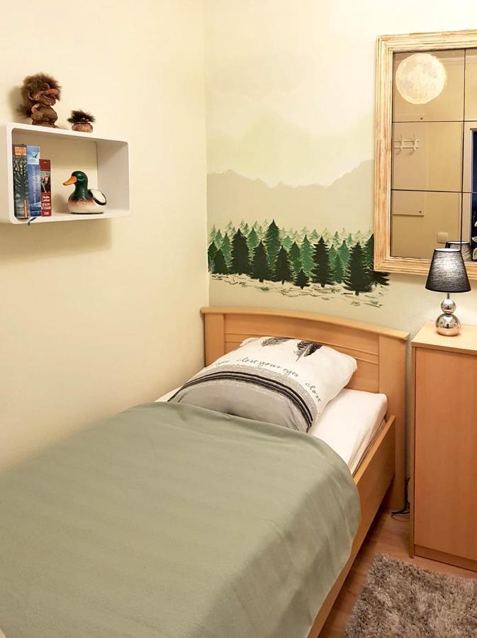 Grossdorf Appartement En Vogue Im Hahnenklee, Harz 戈斯拉尔 外观 照片