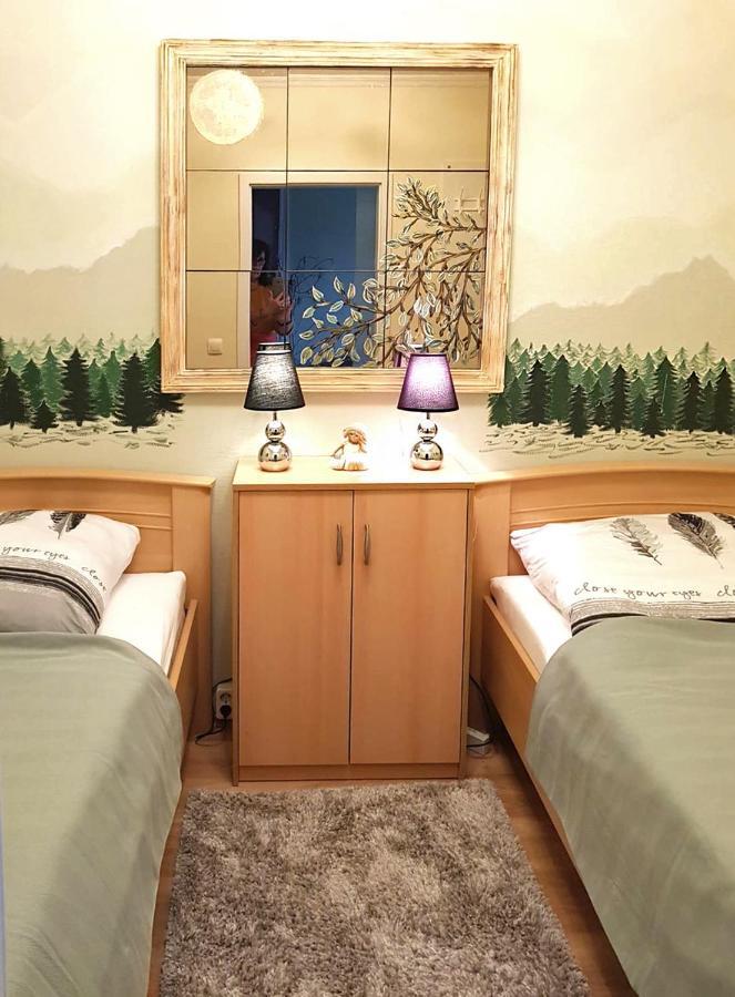Grossdorf Appartement En Vogue Im Hahnenklee, Harz 戈斯拉尔 外观 照片