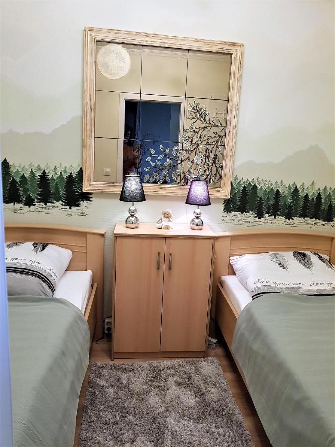 Grossdorf Appartement En Vogue Im Hahnenklee, Harz 戈斯拉尔 外观 照片