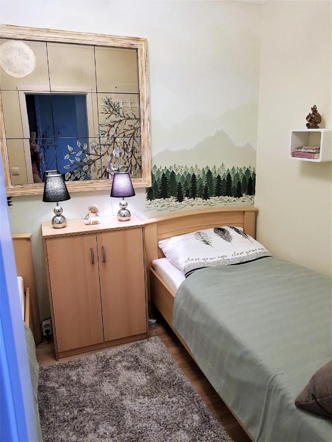Grossdorf Appartement En Vogue Im Hahnenklee, Harz 戈斯拉尔 外观 照片